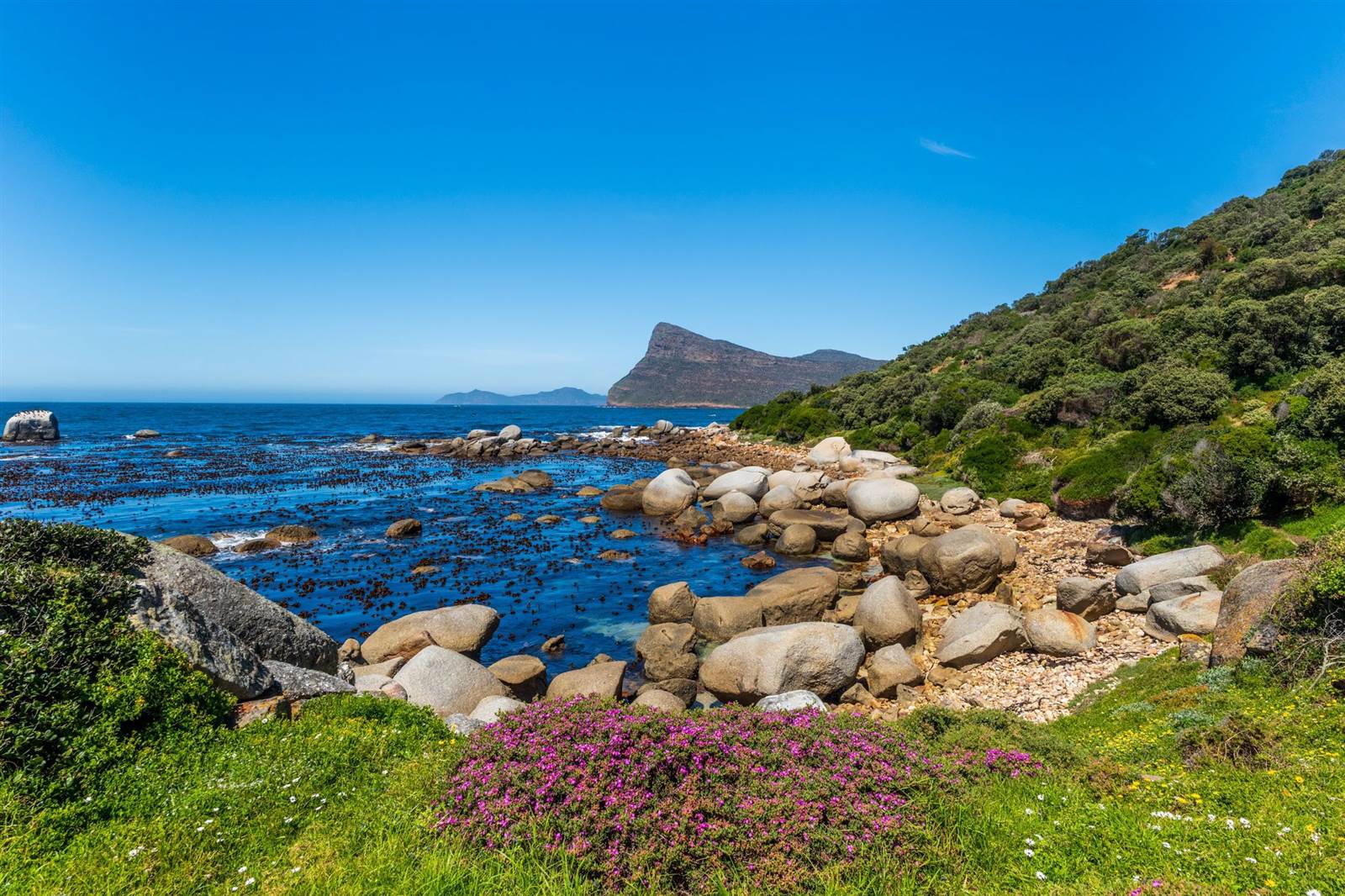 2.8 ha Land available in Simons Town photo number 30