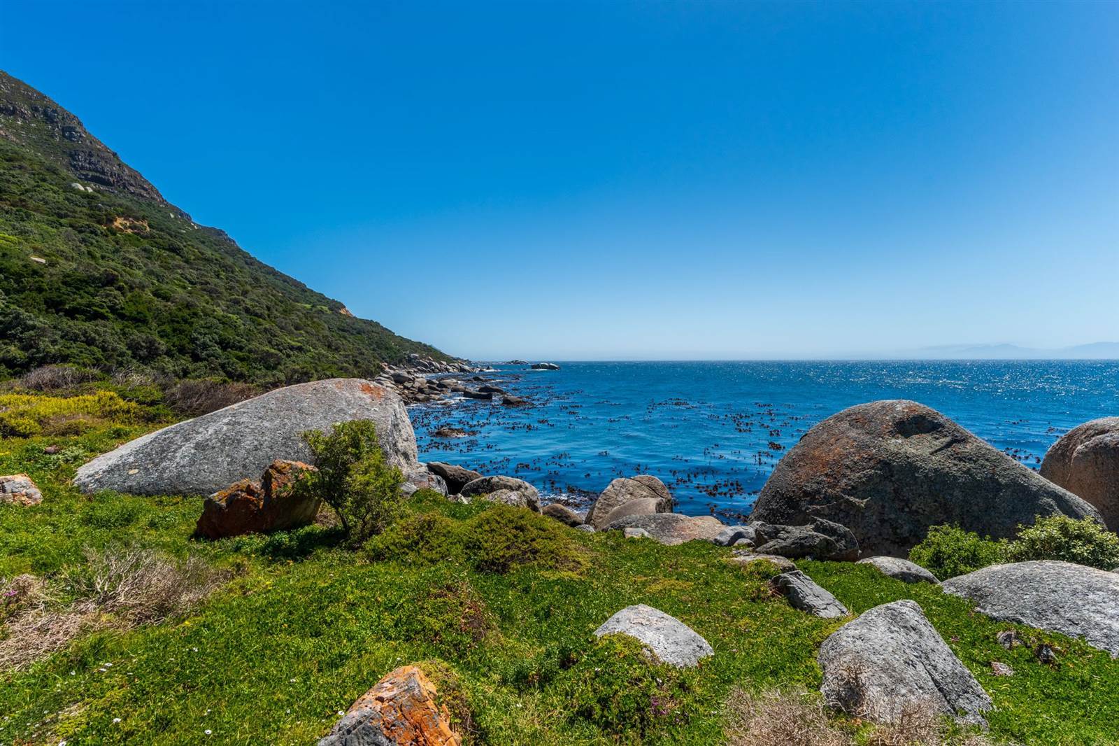 2.8 ha Land available in Simons Town photo number 16