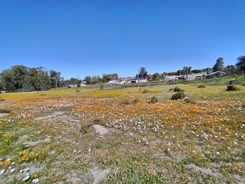 3218 m² Land available in Clanwilliam photo number 9