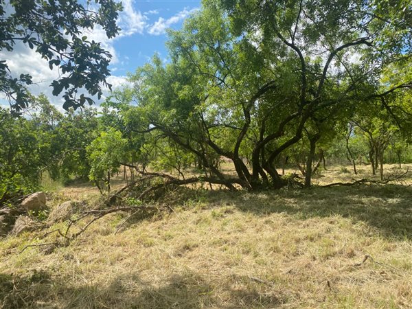 1455 m² Land available in Drum Rock