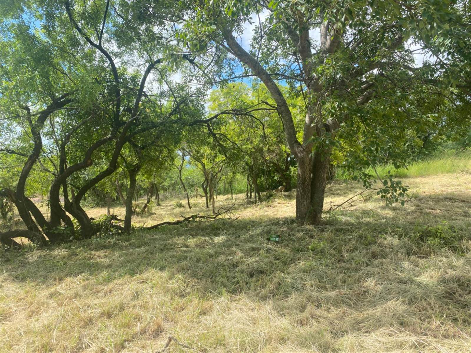 1455 m² Land available in Drum Rock photo number 2