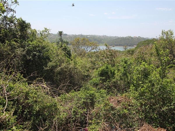 1111 m² Land available in Port Alfred