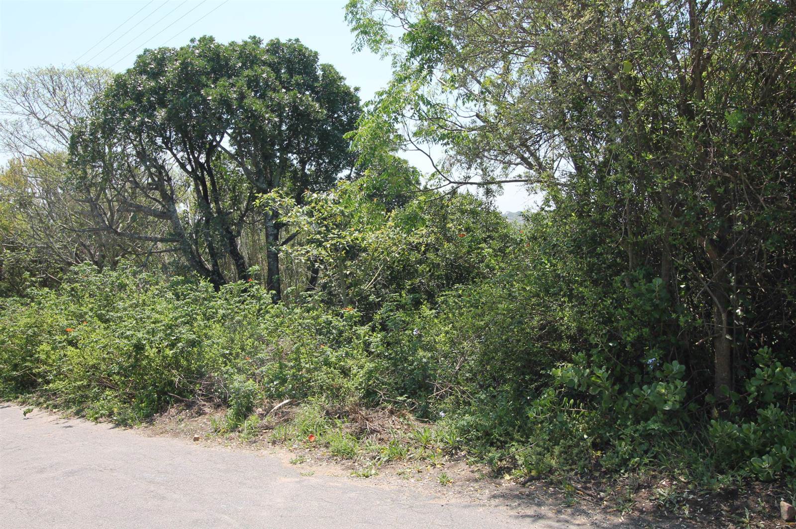 1111 m² Land available in Port Alfred photo number 8