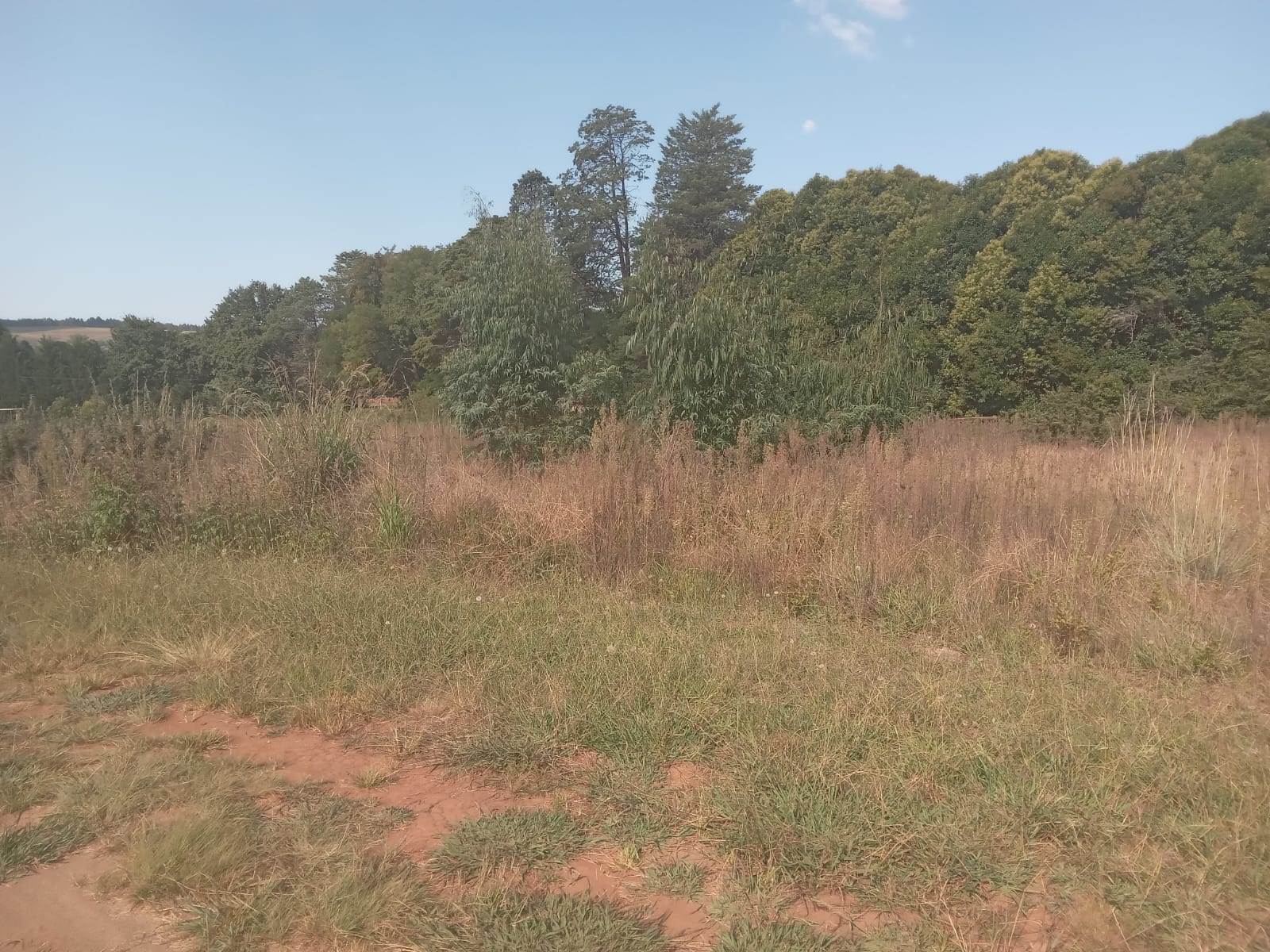 1110 m² Land available in Underberg photo number 6