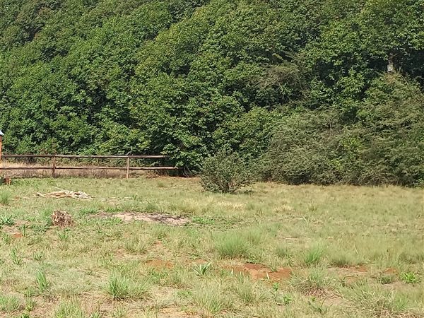 1110 m² Land available in Underberg