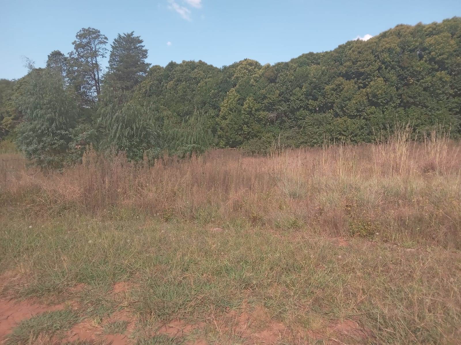 1110 m² Land available in Underberg photo number 5
