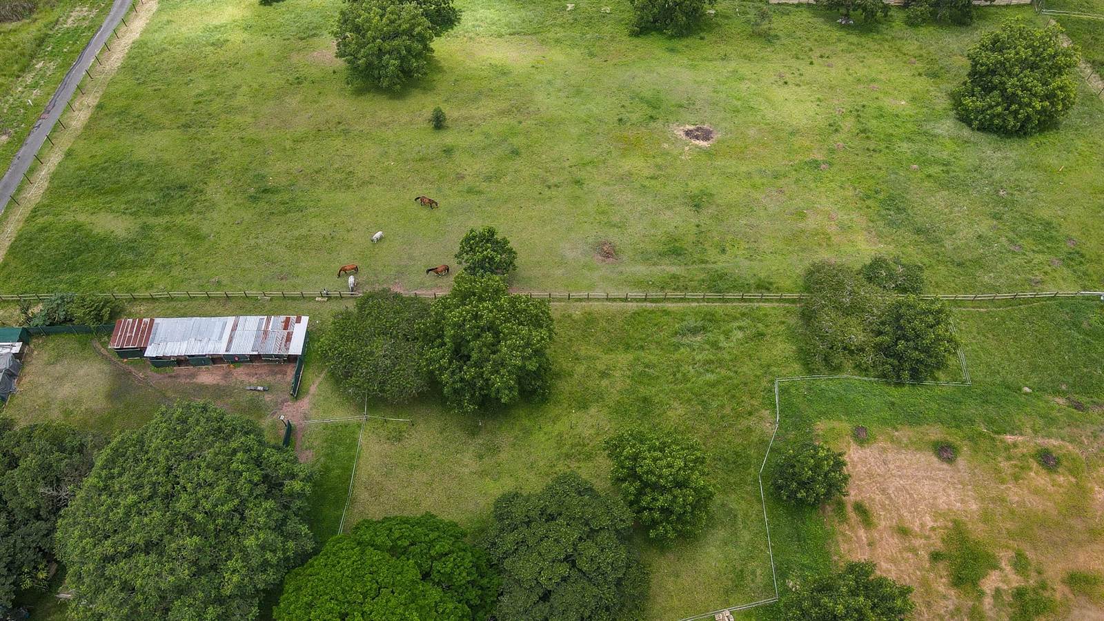 3.5 ha Land available in Drummond photo number 19