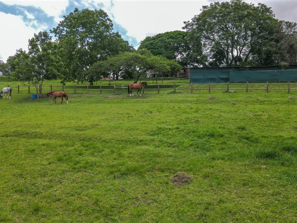 3.5 ha Land available in Drummond