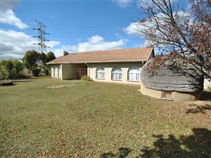 3 Bed House in Pioneer Park