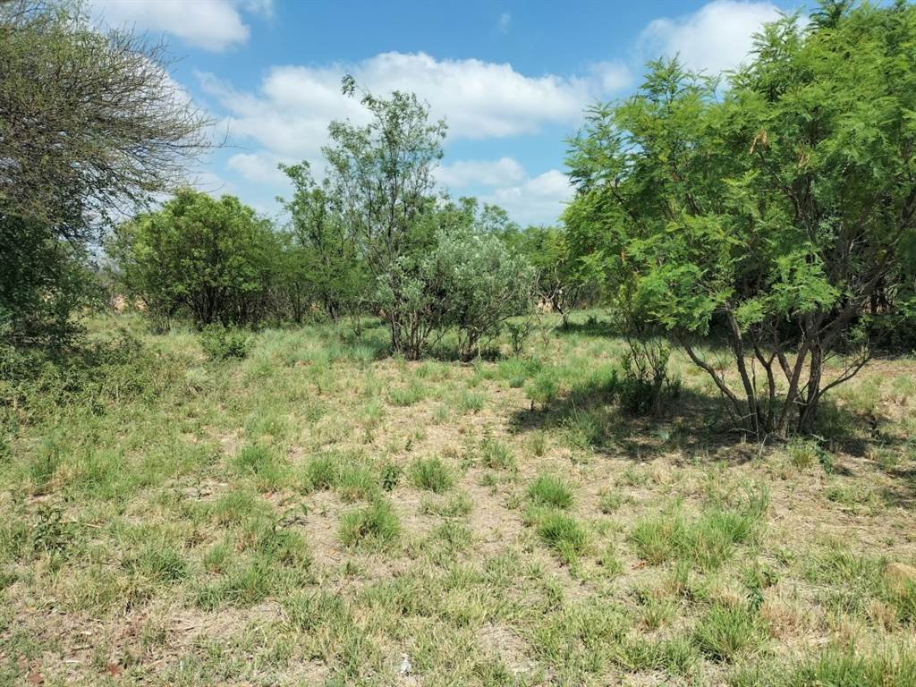 957 m² Land available in Seasons Lifestyle Estate photo number 7
