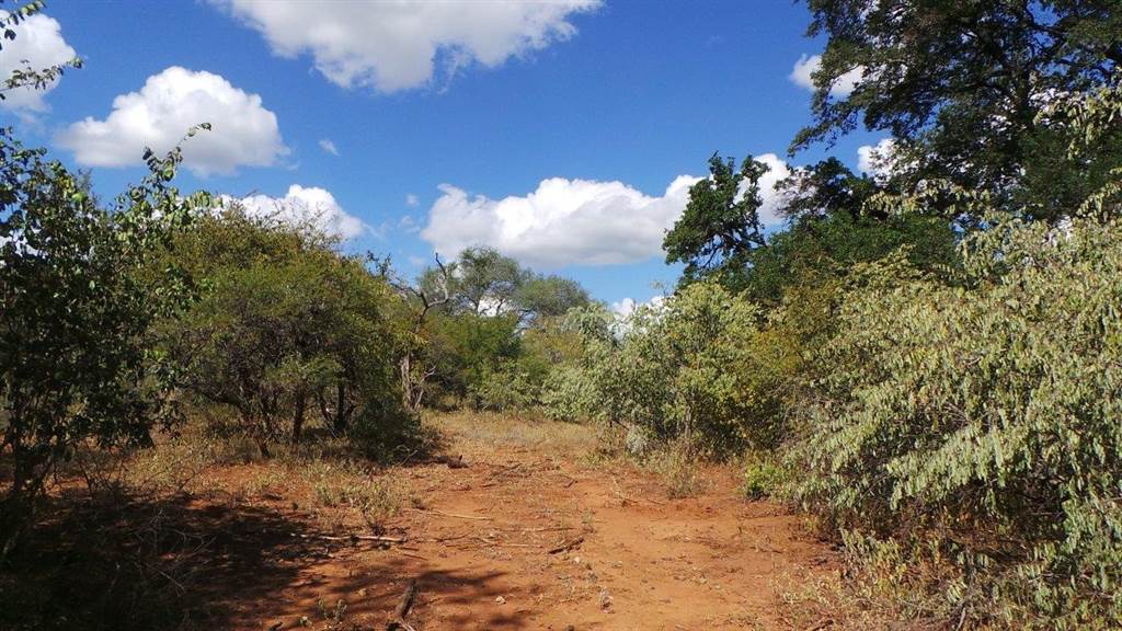 1300 ha Land available in Hoedspruit photo number 11