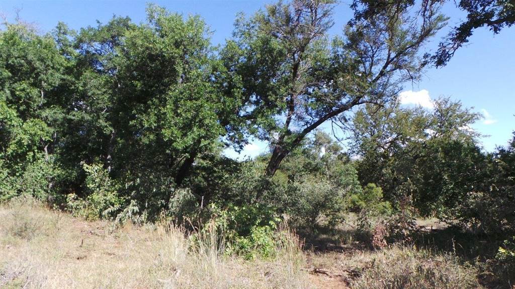 1300 ha Land available in Hoedspruit photo number 6