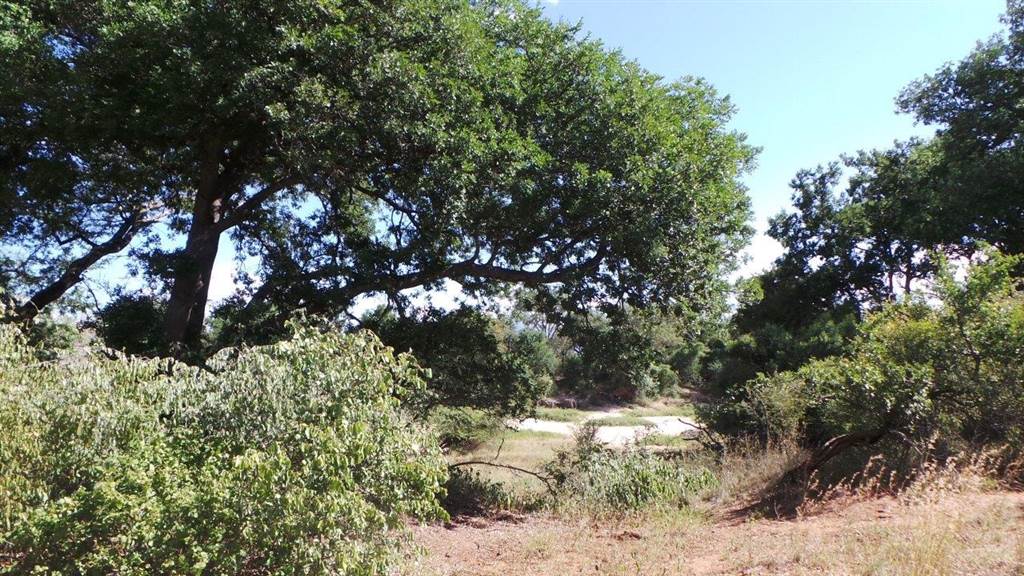 1300 ha Land available in Hoedspruit photo number 8