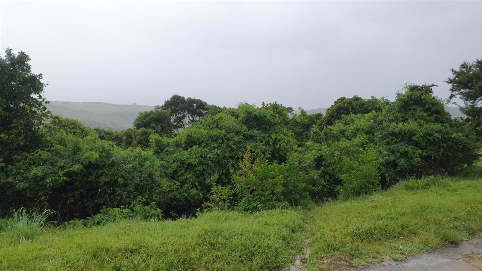 690 m² Land available in Morgans Bay photo number 4