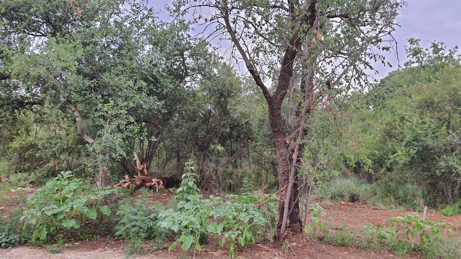 2548 m² Land available in Hartbeespoort Dam photo number 2