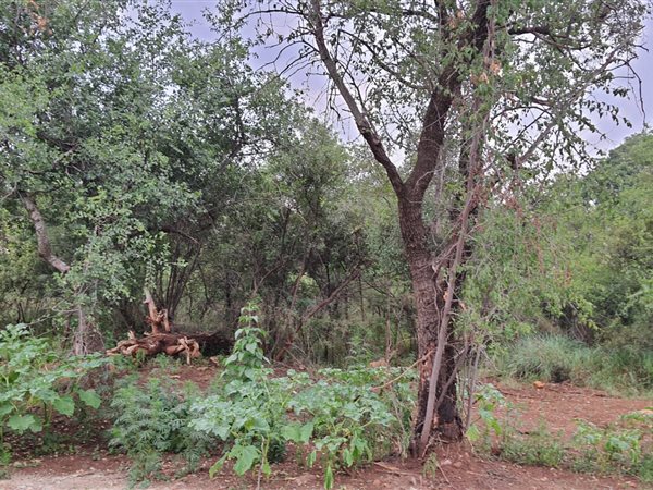 2 548 m² Land 2 548 m² Land