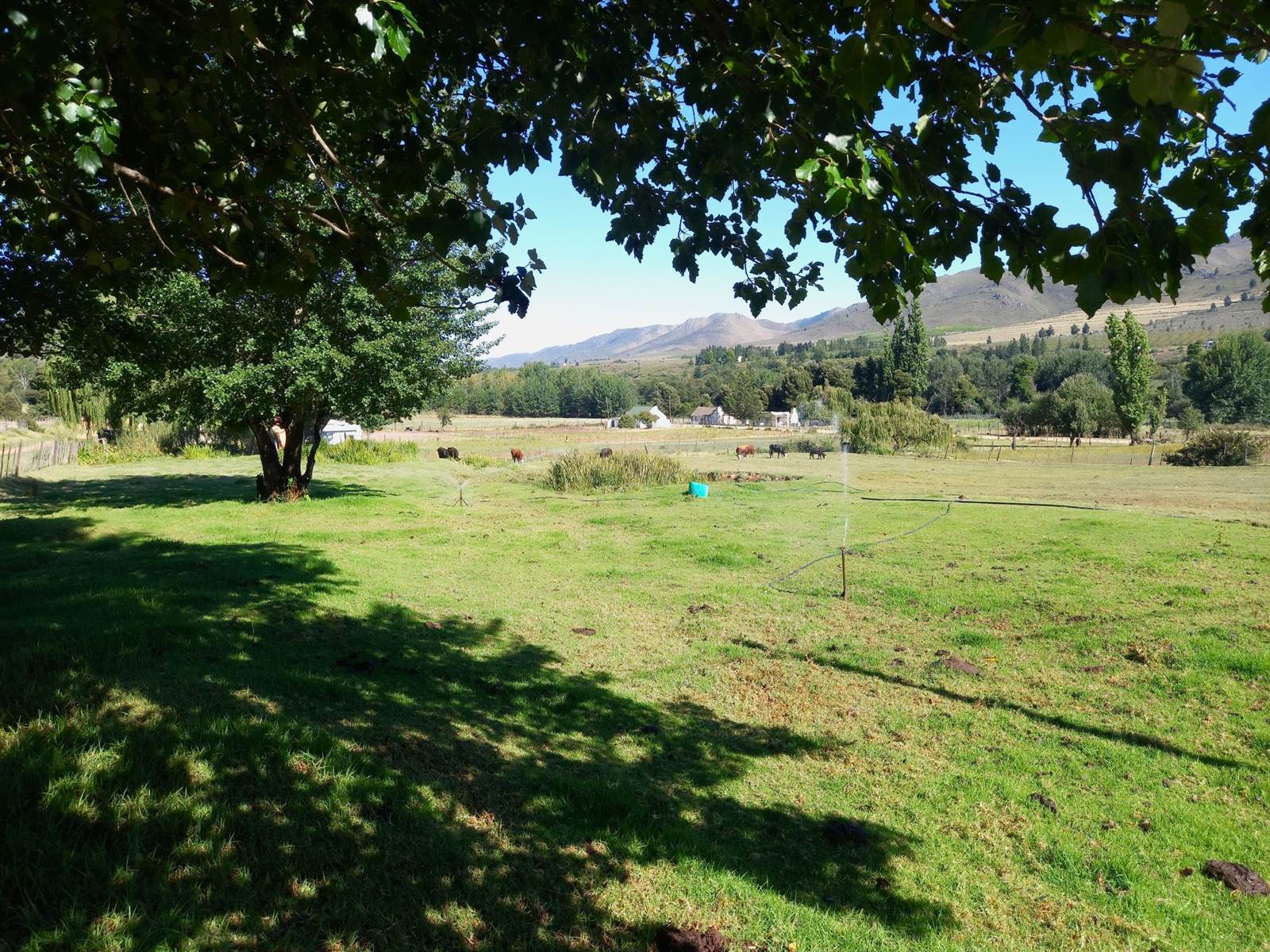 4293 m² Smallholding in Uniondale photo number 2