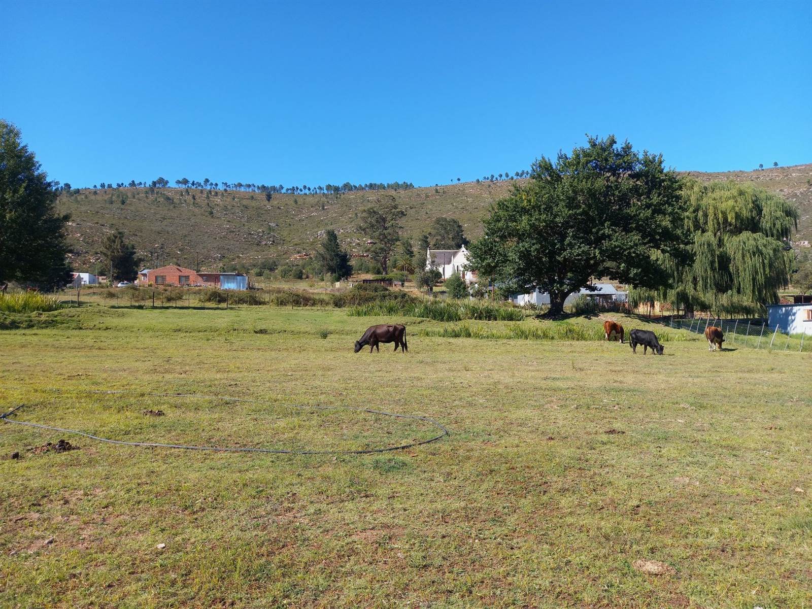 4293 m² Smallholding in Uniondale photo number 22