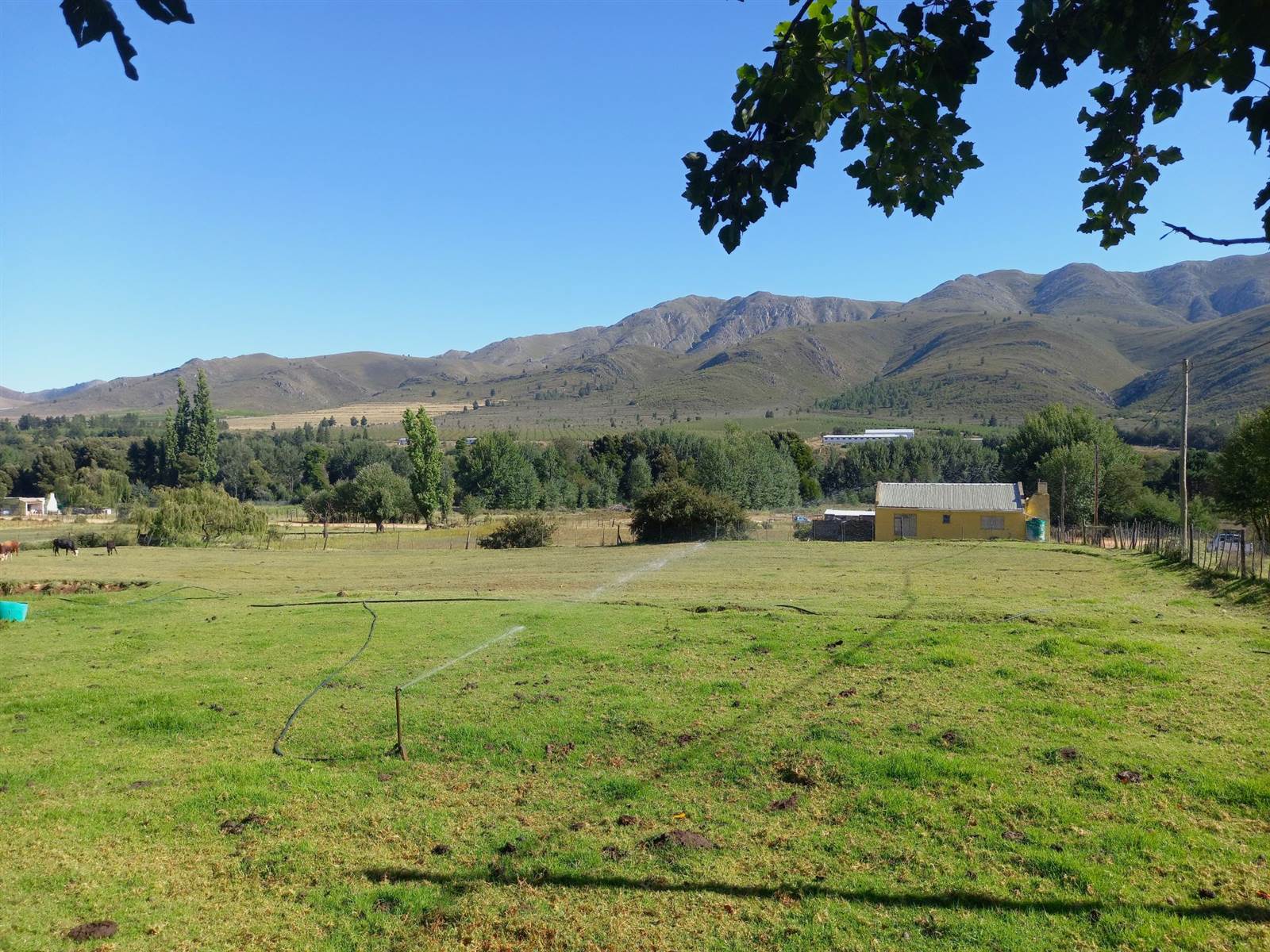 4293 m² Smallholding in Uniondale photo number 10