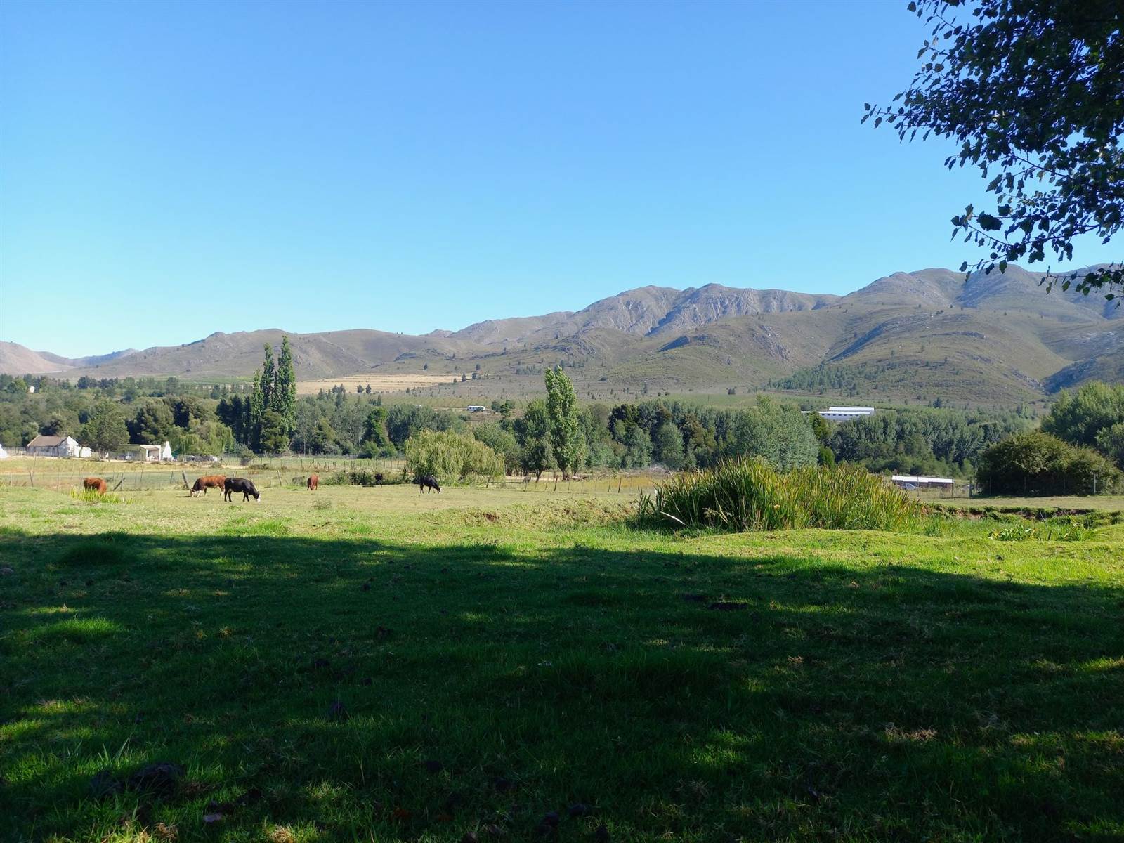 4293 m² Smallholding in Uniondale photo number 1