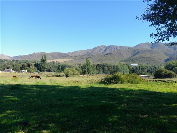 4293 m² Smallholding in Uniondale