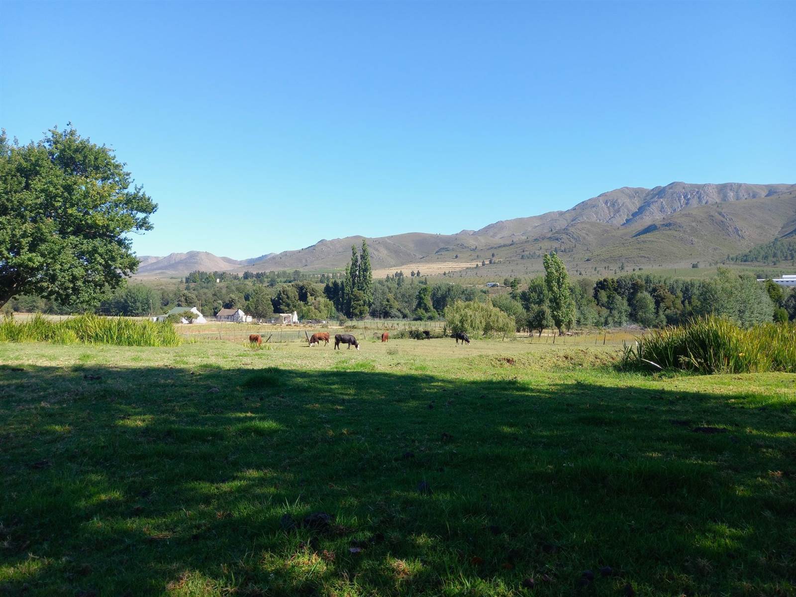 4293 m² Smallholding in Uniondale photo number 14
