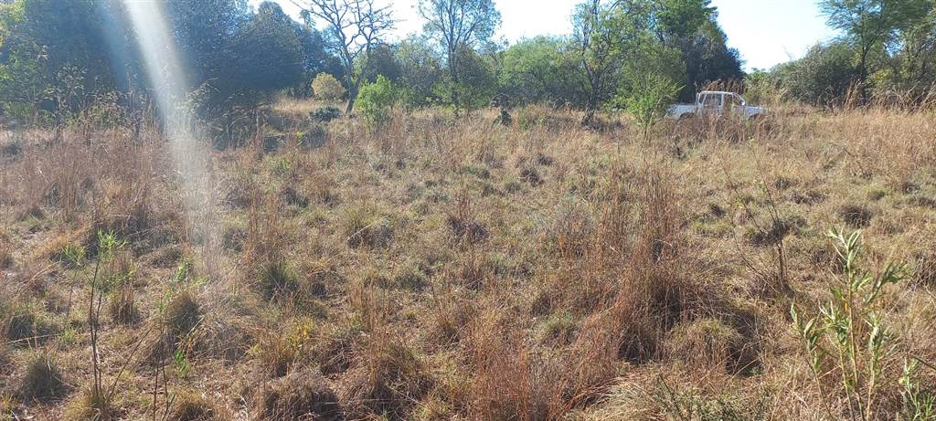 984 m² Land available in Modimolle photo number 4