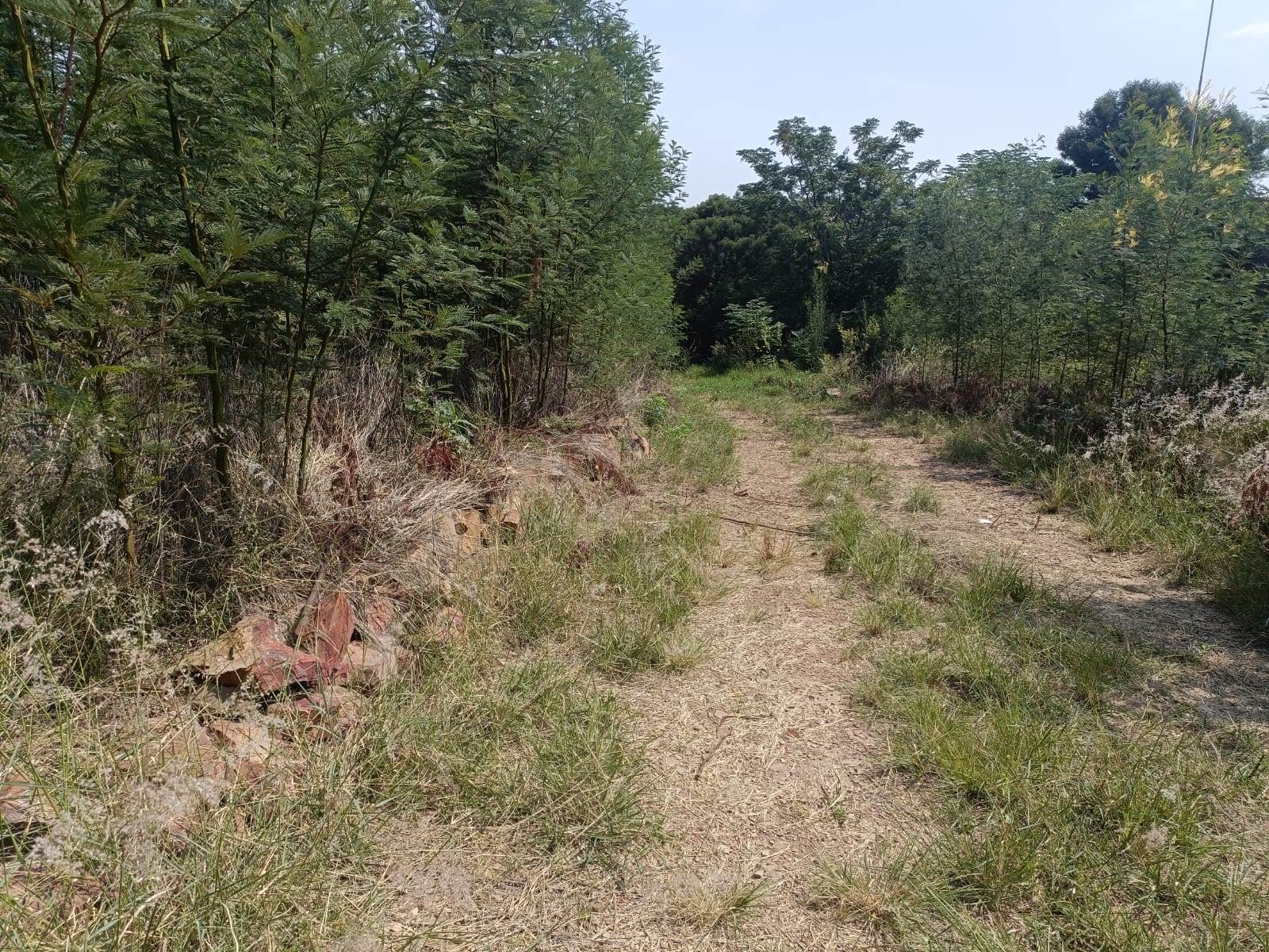 1 ha Land available in Rietvallei AH photo number 7
