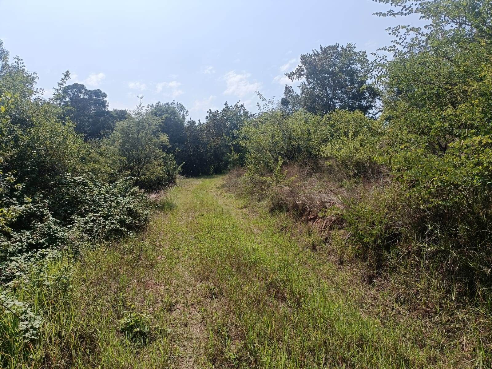 1 ha Land available in Rietvallei AH photo number 6