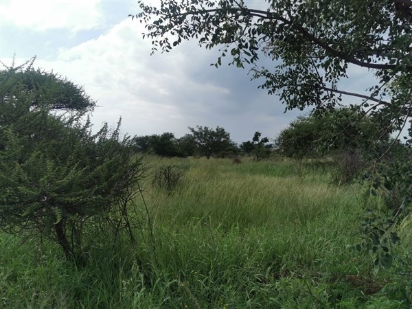 1.3 ha Land available in Bendor