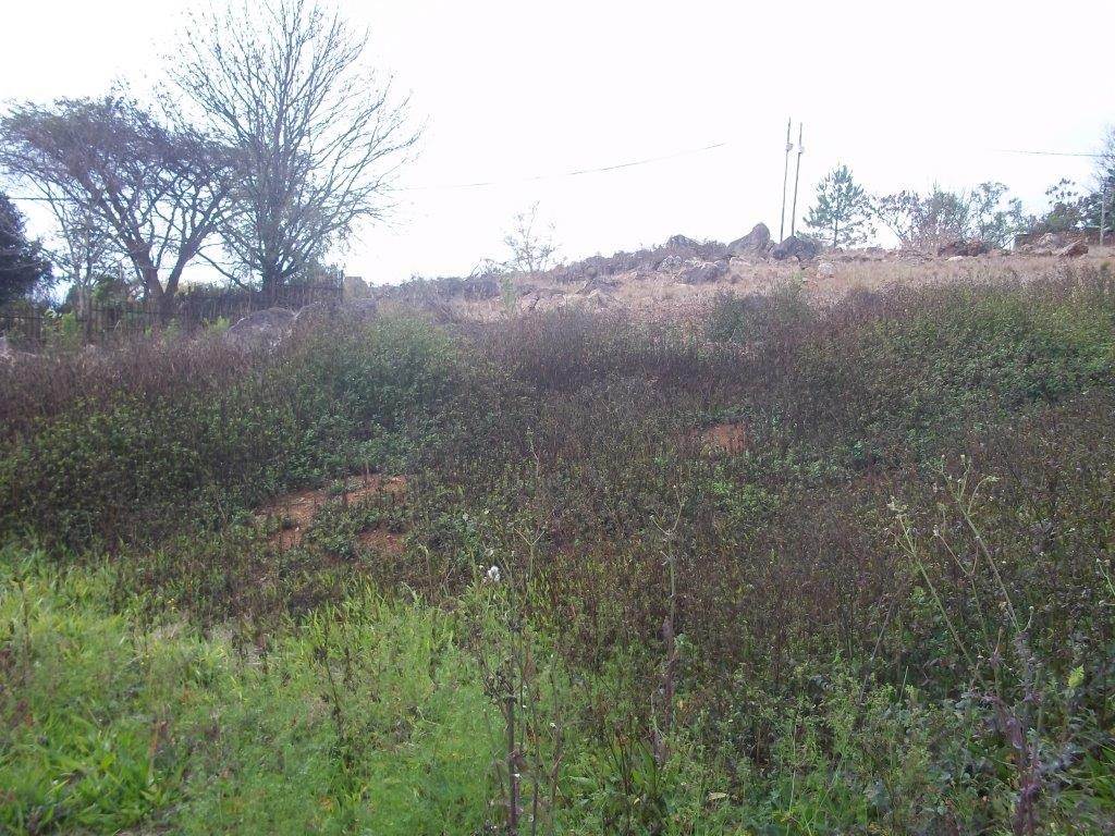 1845 m² Land available in Sabie photo number 3