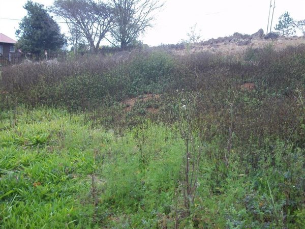1845 m² Land available in Sabie