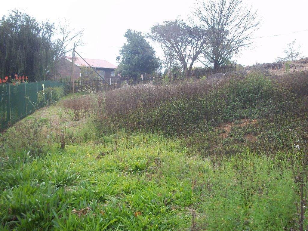 1845 m² Land available in Sabie photo number 4