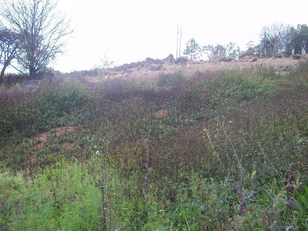 1845 m² Land available in Sabie photo number 2