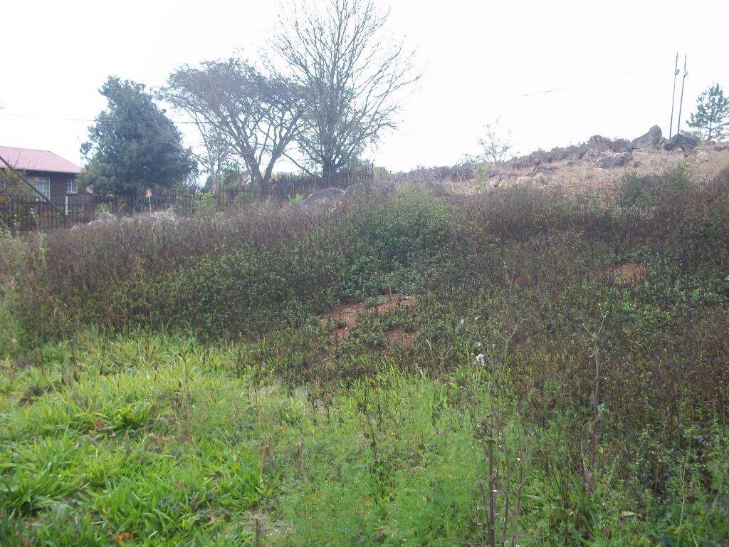 1845 m² Land available in Sabie photo number 5