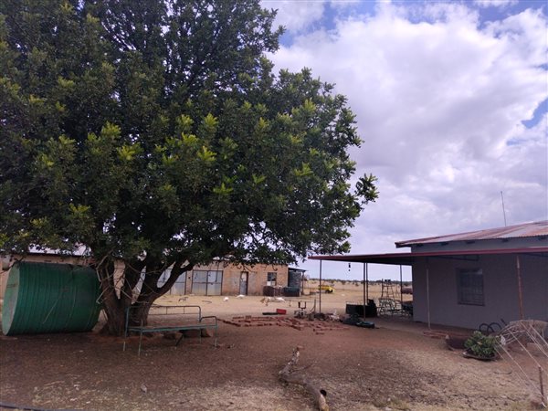 600 ha Farm