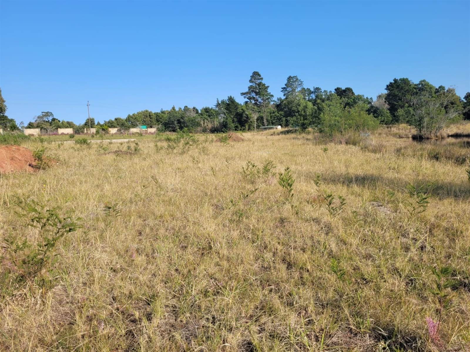 1.9 ha Land available in Plettenberg Bay Rural photo number 10