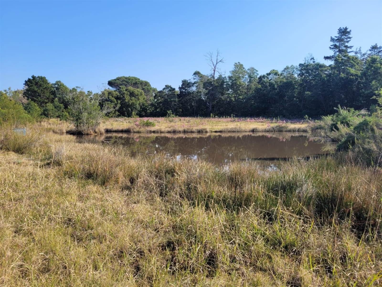 1.9 ha Land available in Plettenberg Bay Rural photo number 4