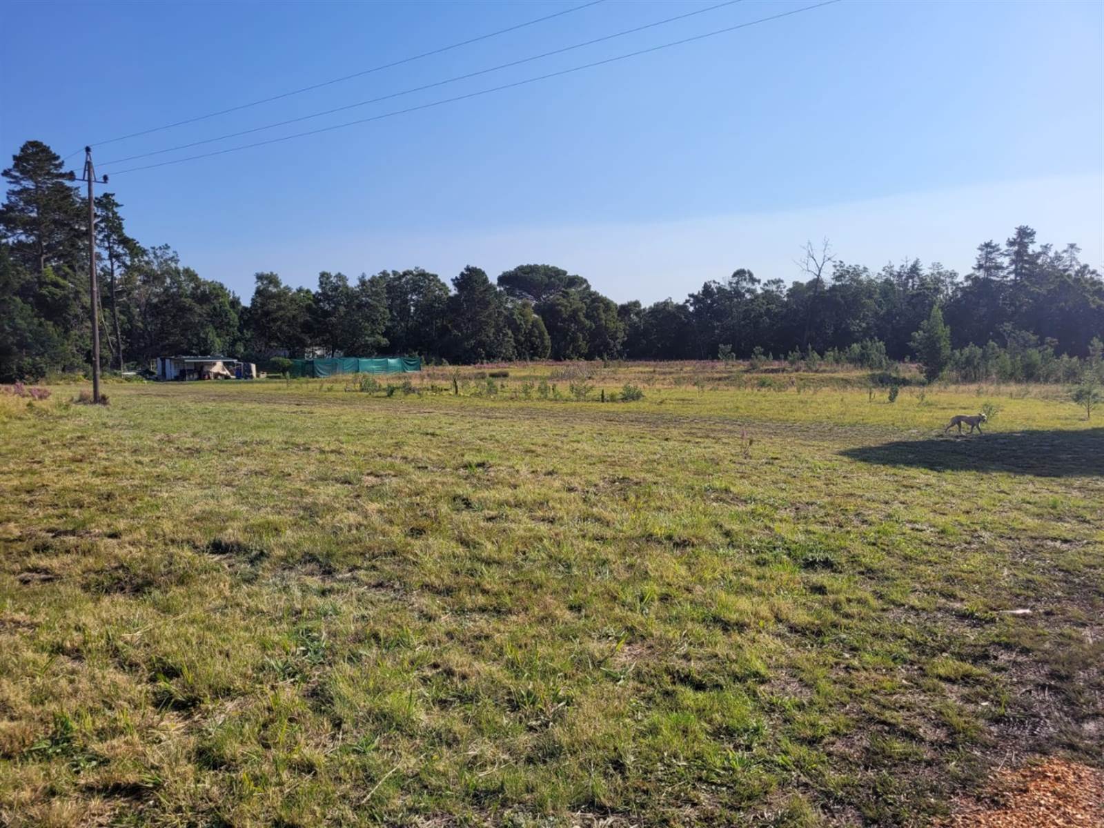 1.9 ha Land available in Plettenberg Bay Rural photo number 7