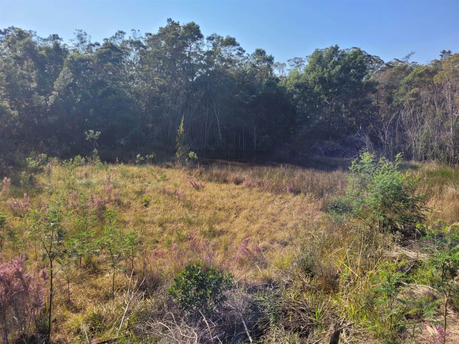 1.9 ha Land available in Plettenberg Bay Rural photo number 11