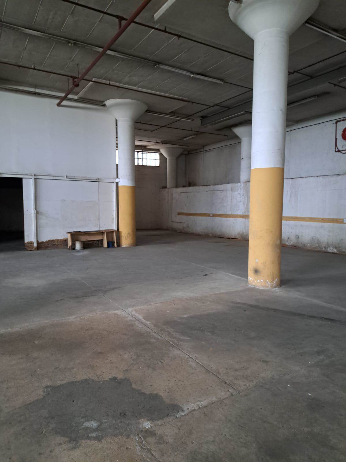 1200  m² Industrial space in Ophirton photo number 4