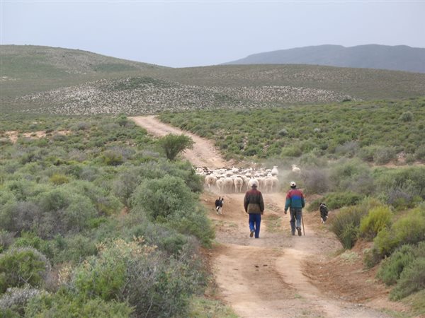 6257 ha Farm in Bitterfontein