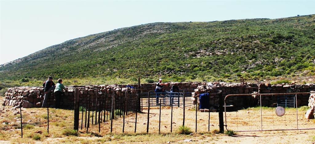 6257 ha Farm in Bitterfontein photo number 18