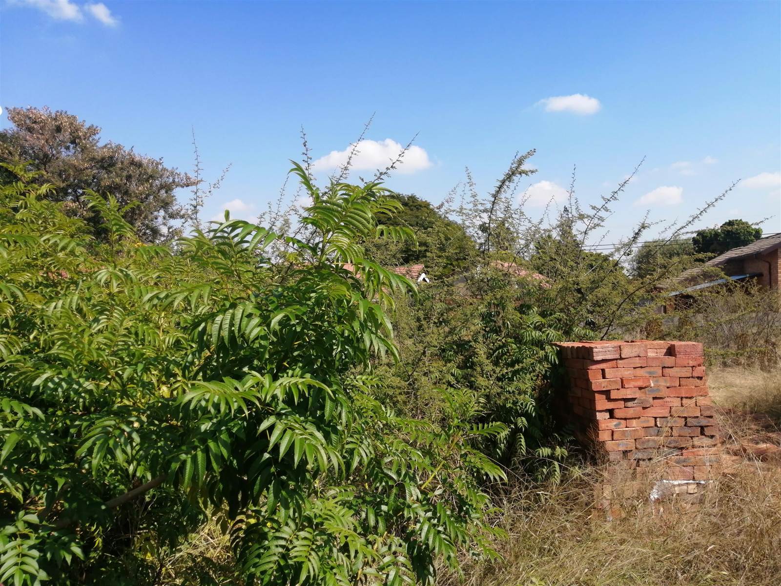 744 m² Land available in Flora Park photo number 2