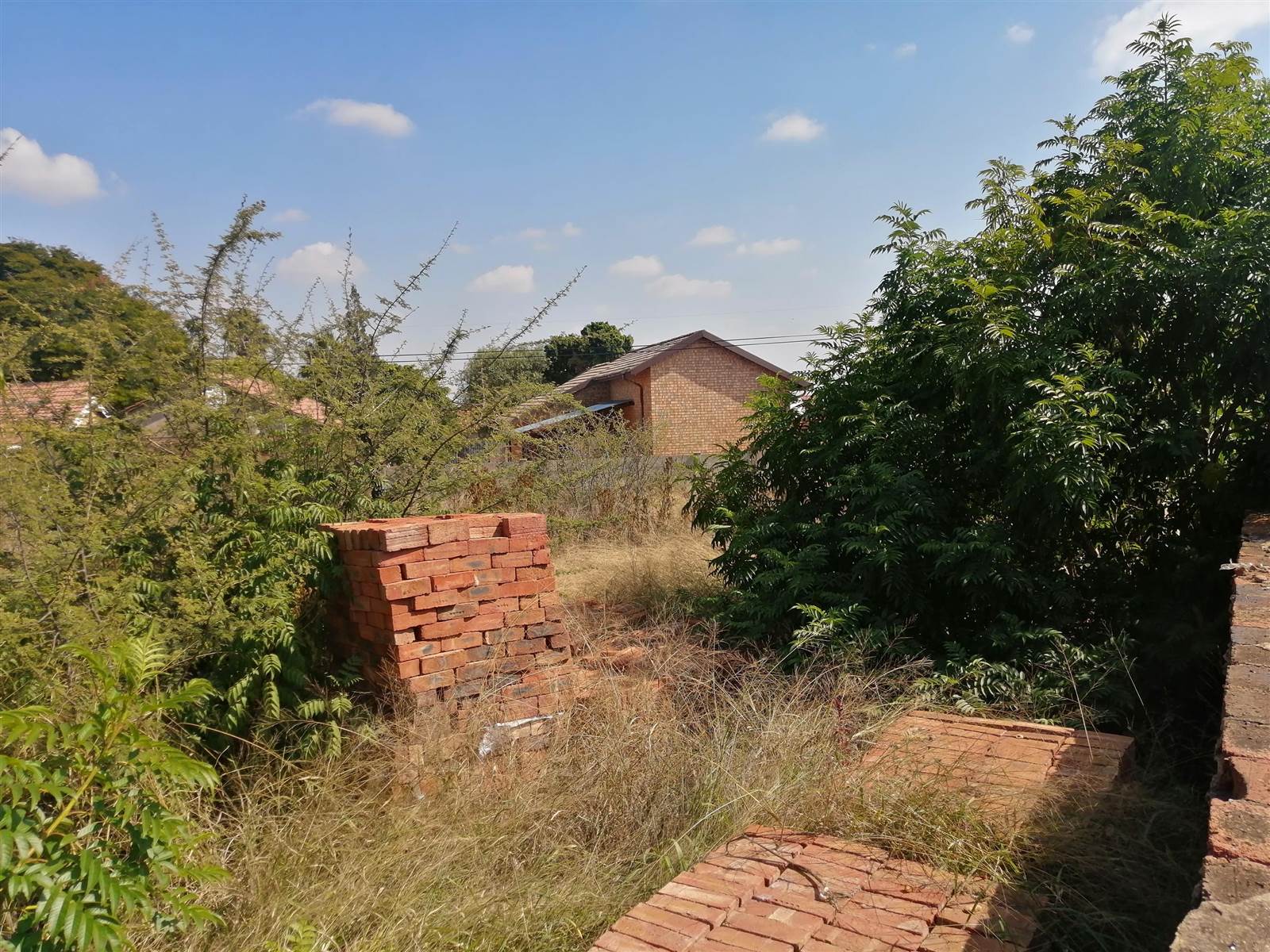 744 m² Land available in Flora Park photo number 4