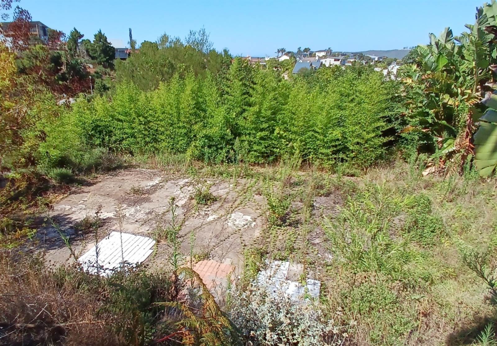 1388 m² Land available in Knysna Heights photo number 11