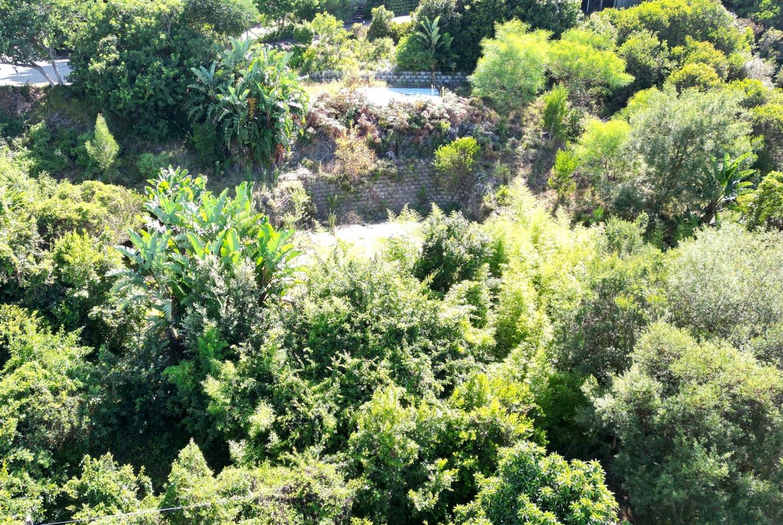1388 m² Land available in Knysna Heights photo number 1