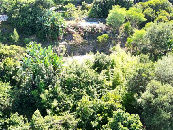 1388 m² Land available in Knysna Heights