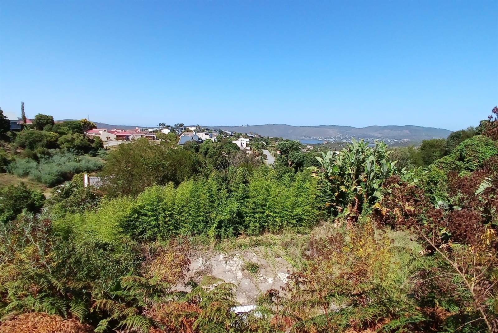 1388 m² Land available in Knysna Heights photo number 8