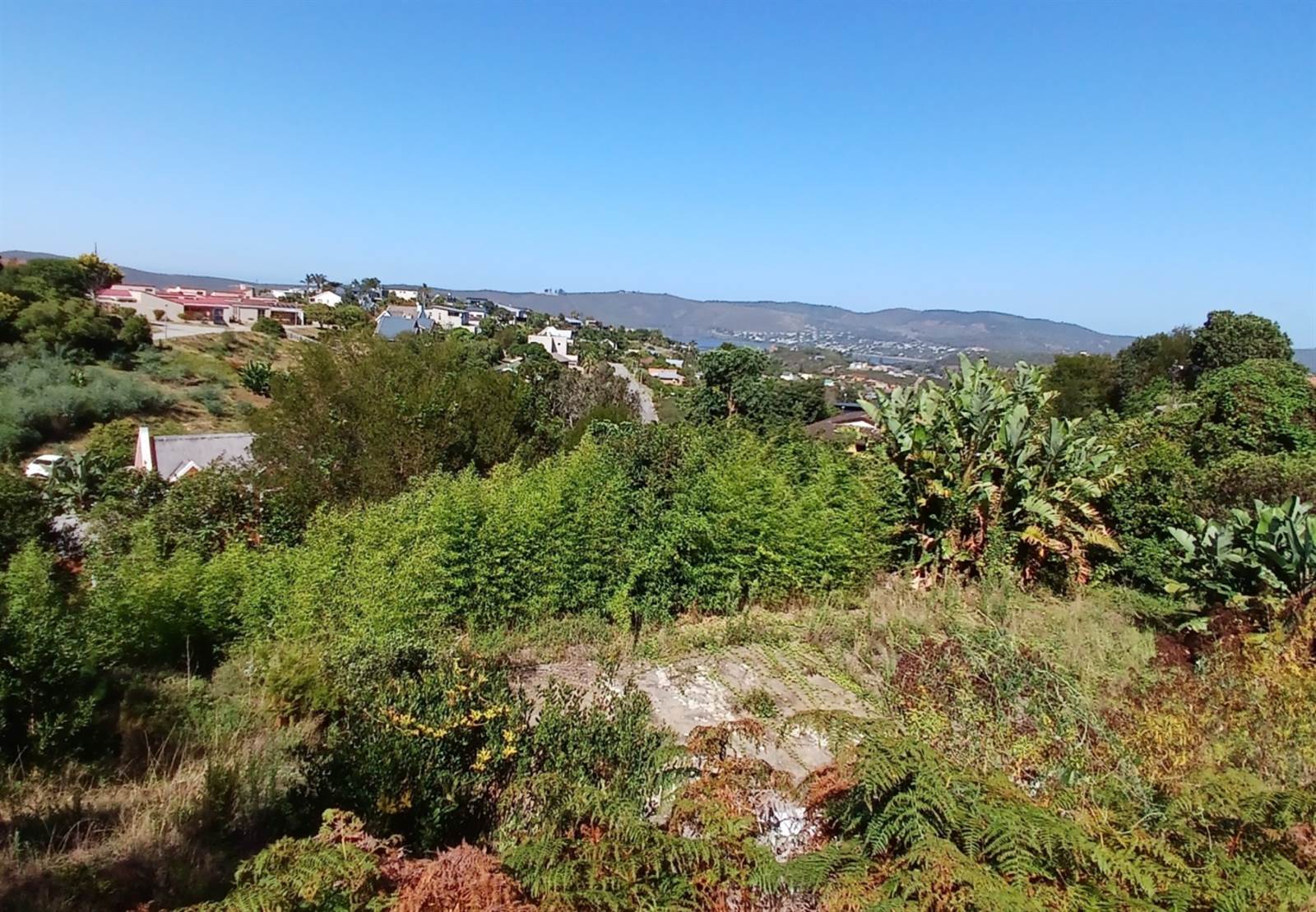 1388 m² Land available in Knysna Heights photo number 9